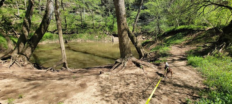 Sinkhole Size Of A Small Neighborhood