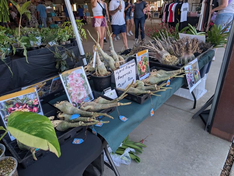 First Monday Trade Days