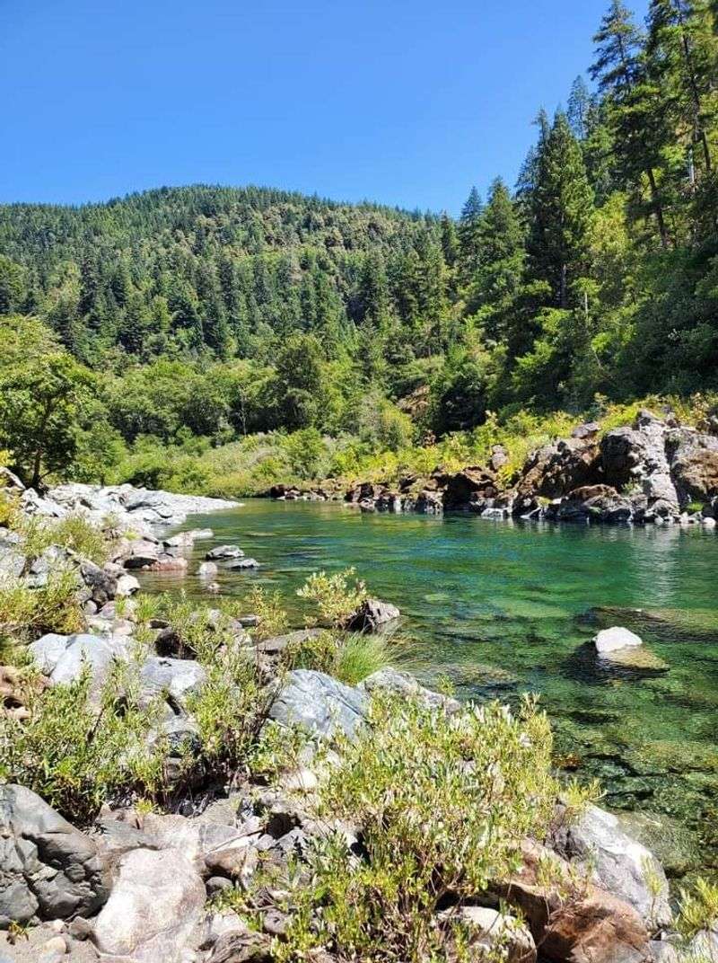 Salmon, Steelhead, And The Fish That Define The River