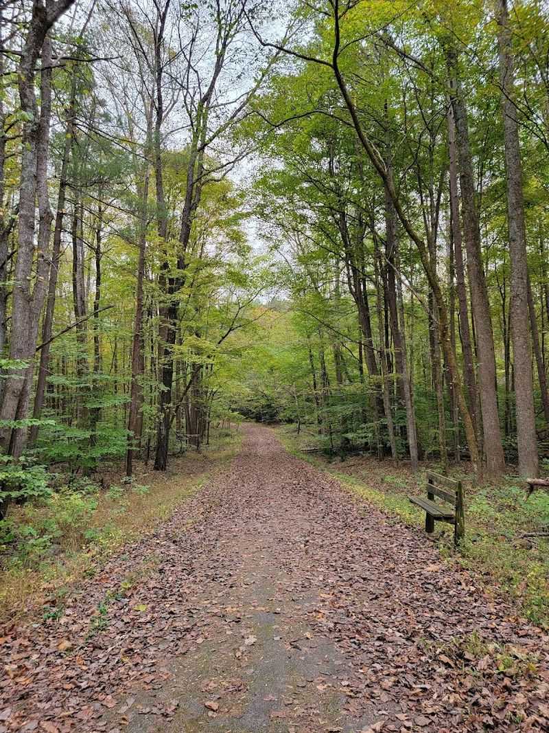 Planning Your Visit Starts Here