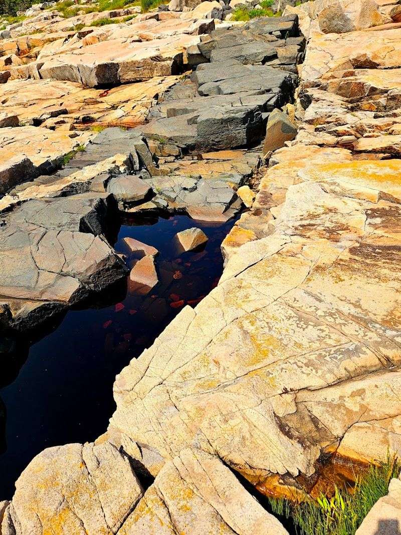 Why The Tide Pools Here Feel Like A Different Planet