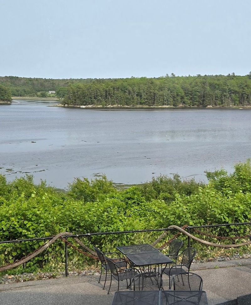 Sasanoa River Views From Your Seat