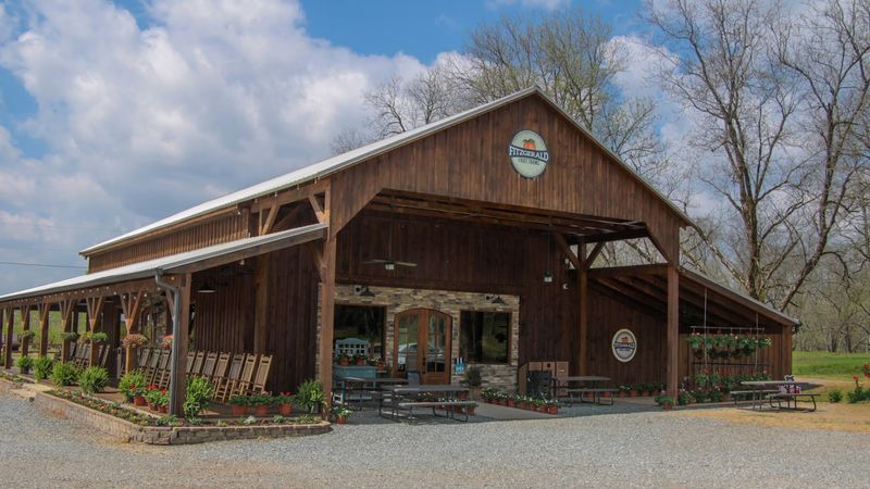 Over 400 Acres Of Georgia Peach Country