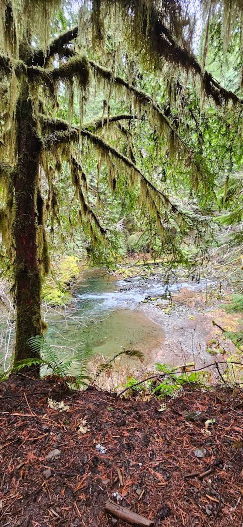 Gear That Makes The Trip Better