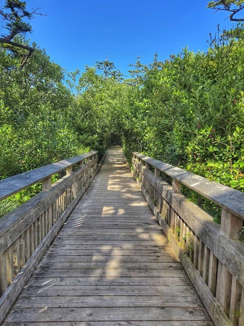 Short On Miles, Long On Memory