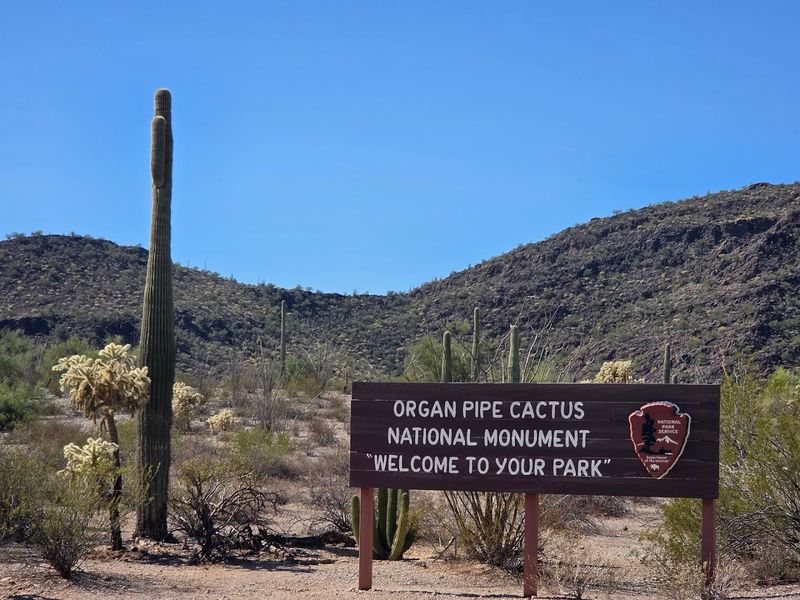 Organ Pipe Cactus National Monument Next Door