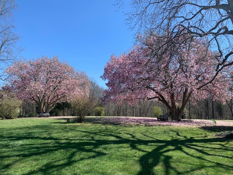 Wildlife Beyond The Eagles