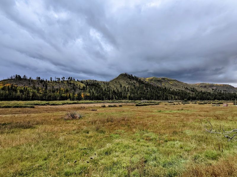 Summer Is Cool When The Rest Of Arizona Is Not