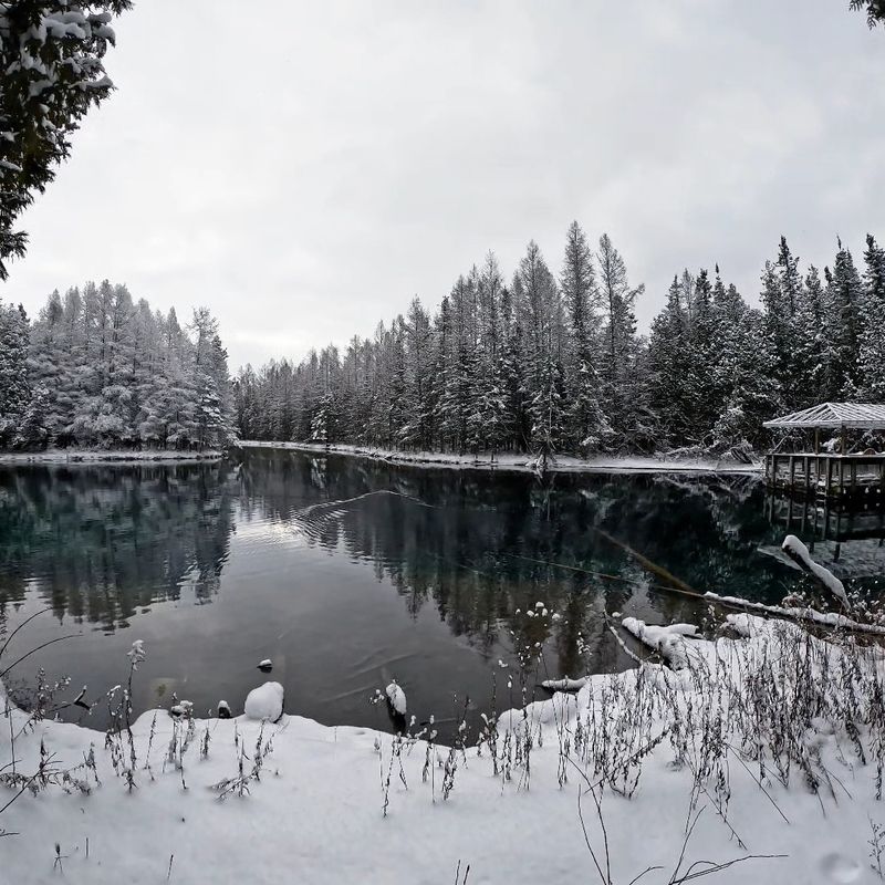 What Lives Beneath The Surface