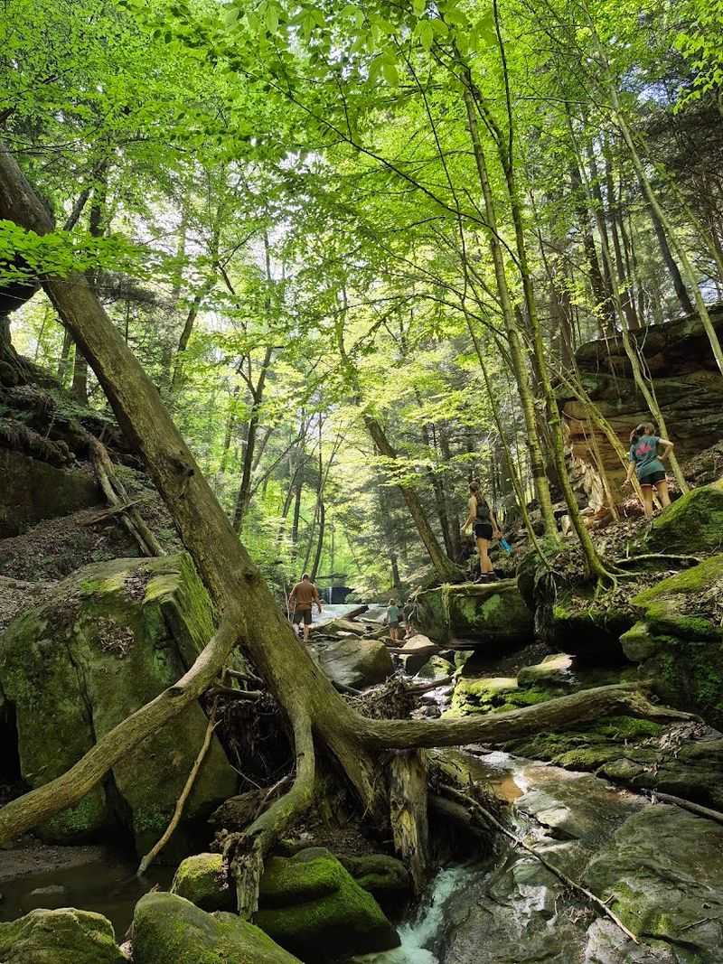 Wildlife And Nature Along The Way