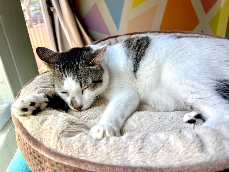 How The Reservation System Works