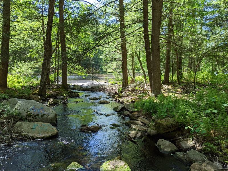Trails That Reward Every Kind Of Walker