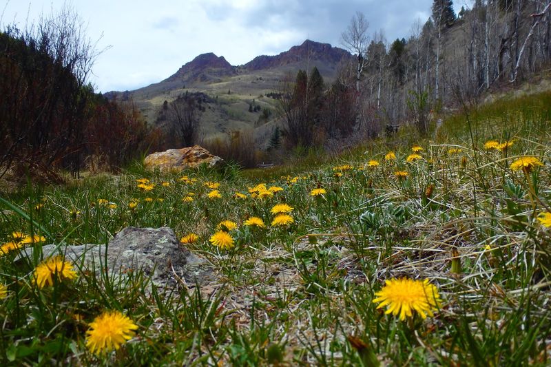 Where The Seasons Actually Mean Something Different