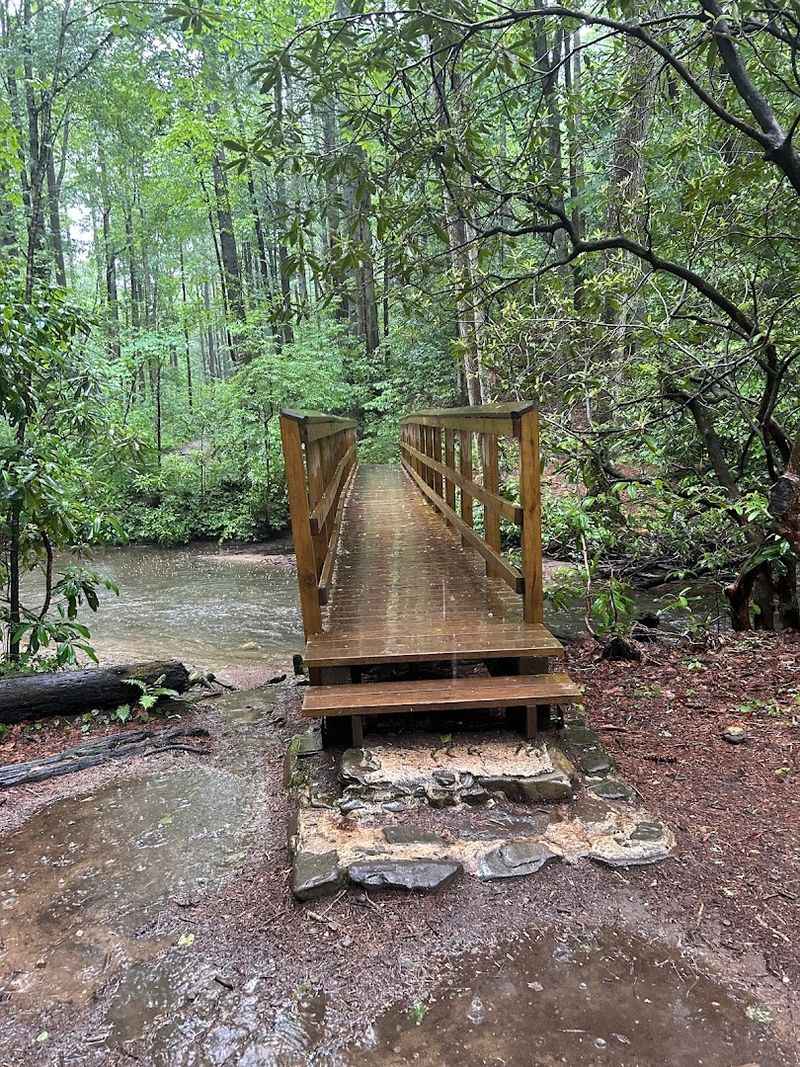 The Trail Itself Is Short But Full Of Character