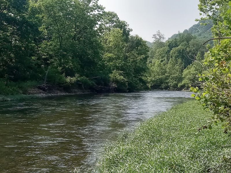 Water Conditions And Current