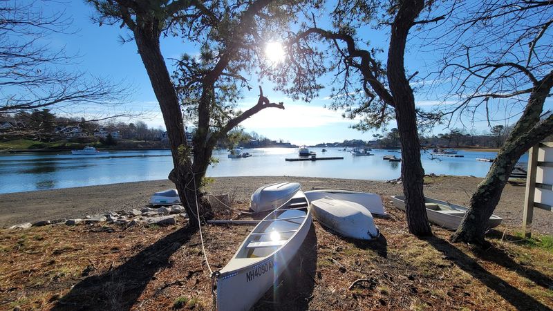 Old Trees, Twisted Roots, And A Forest That Feels Ancient