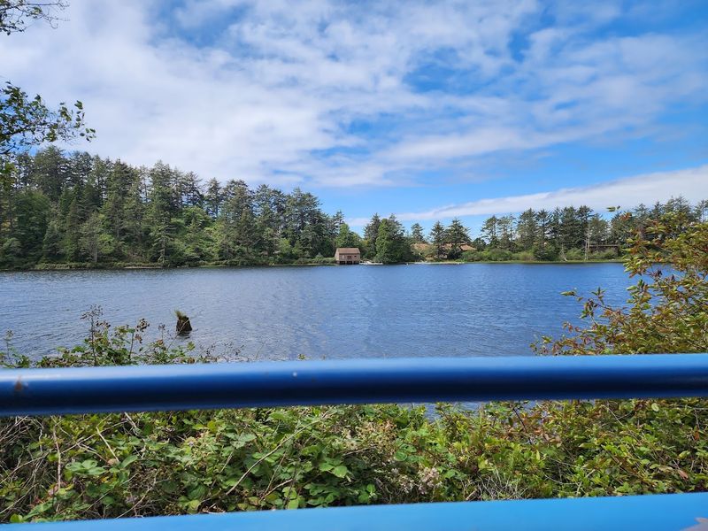 Wildlife Sightings That Catch You Off Guard