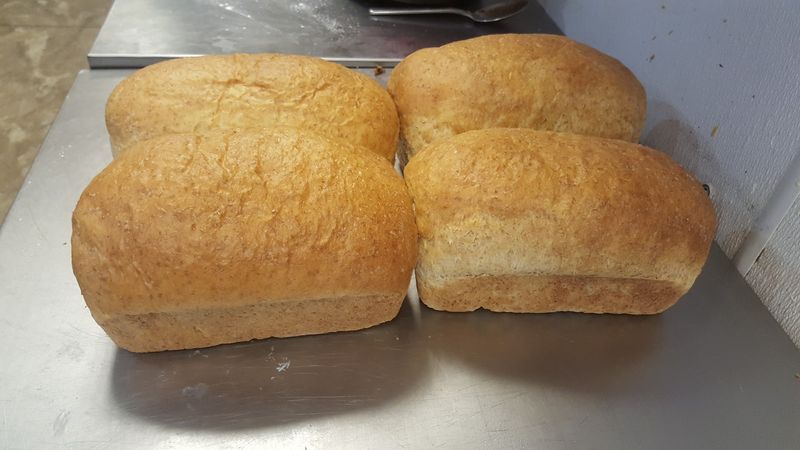 Bread Baked Fresh Every Day Right On The Premises