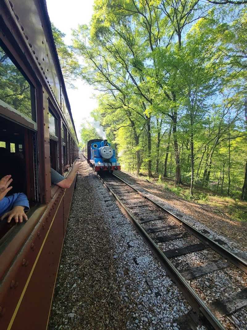 A Perfect Spot For Families With Kids 