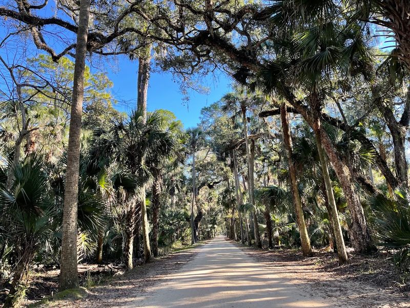 The Trail That Hides Its Surprise Until The End