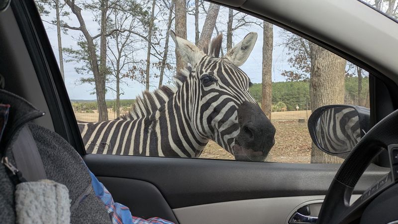 Why This Park Deserves A Spot On Your South Carolina Bucket List