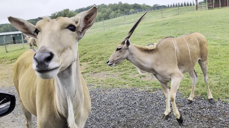 What To Know Before You Go