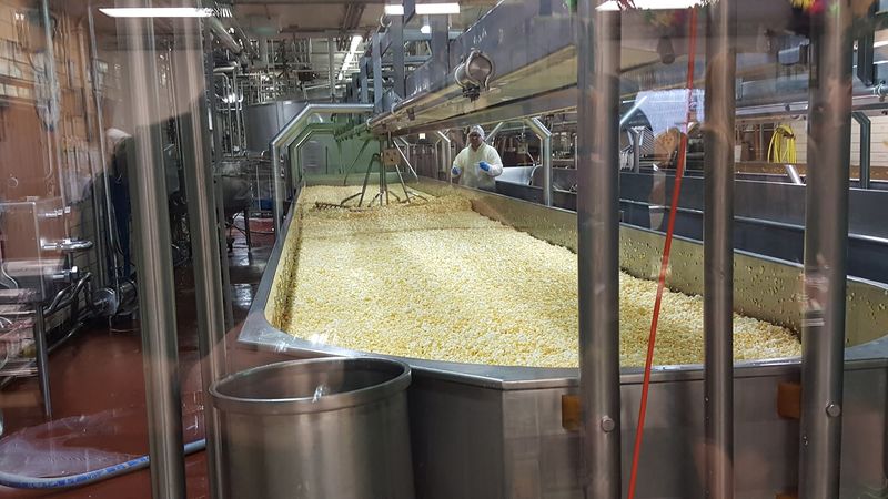 Watching The Cheese-Making Process Firsthand