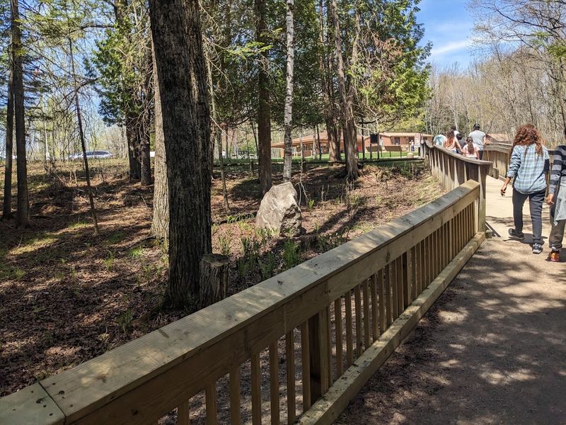 Finding The Spring Is Part Of The Fun