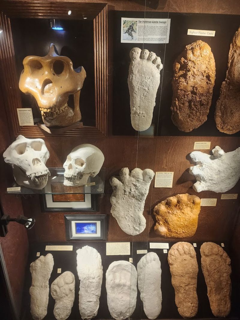 The World's Largest Bigfoot Artifact Collection