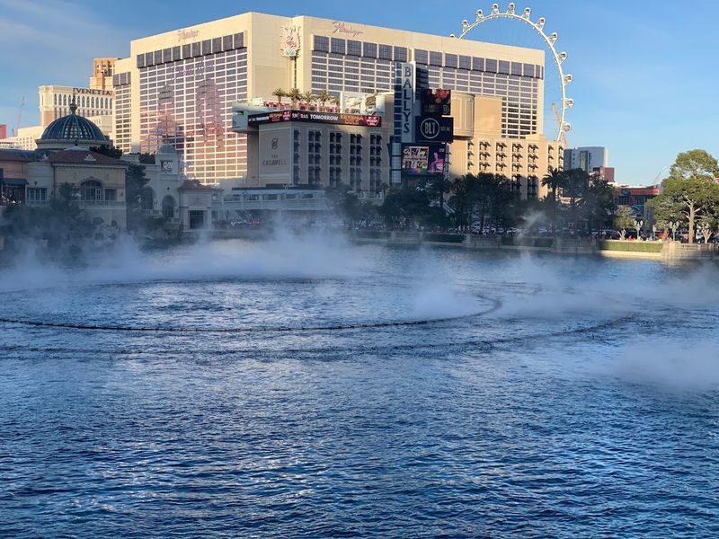 What The Water Actually Does