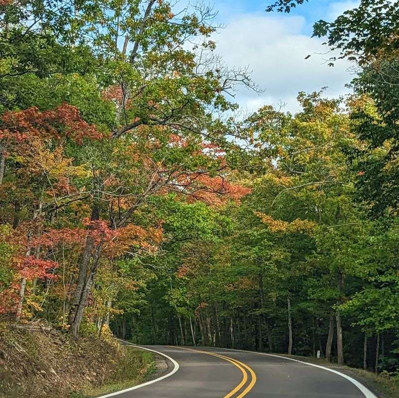 Wildlife Watching Along The Ridge