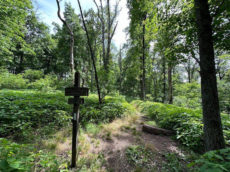 The Appalachian Trail Connection And Its History