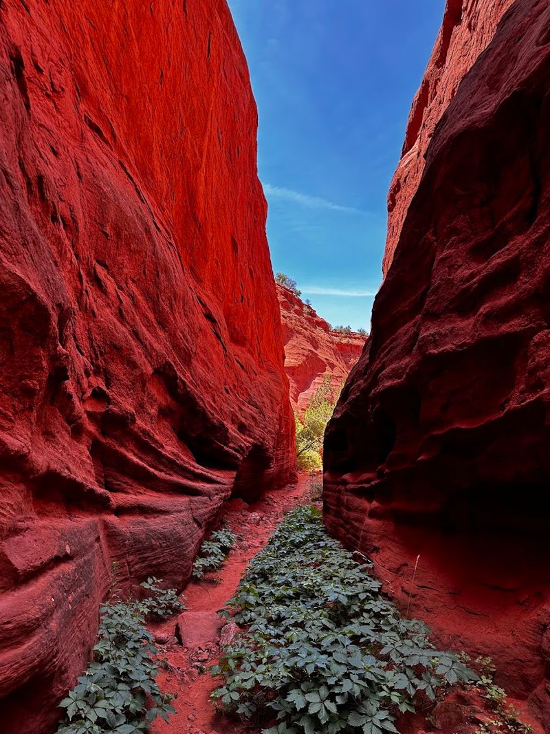 Winter In The Canyon Is A Different Kind Of Beautiful