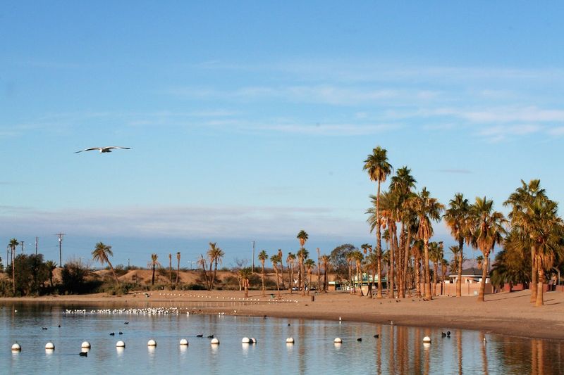 What The Beach Actually Looks And Feels Like