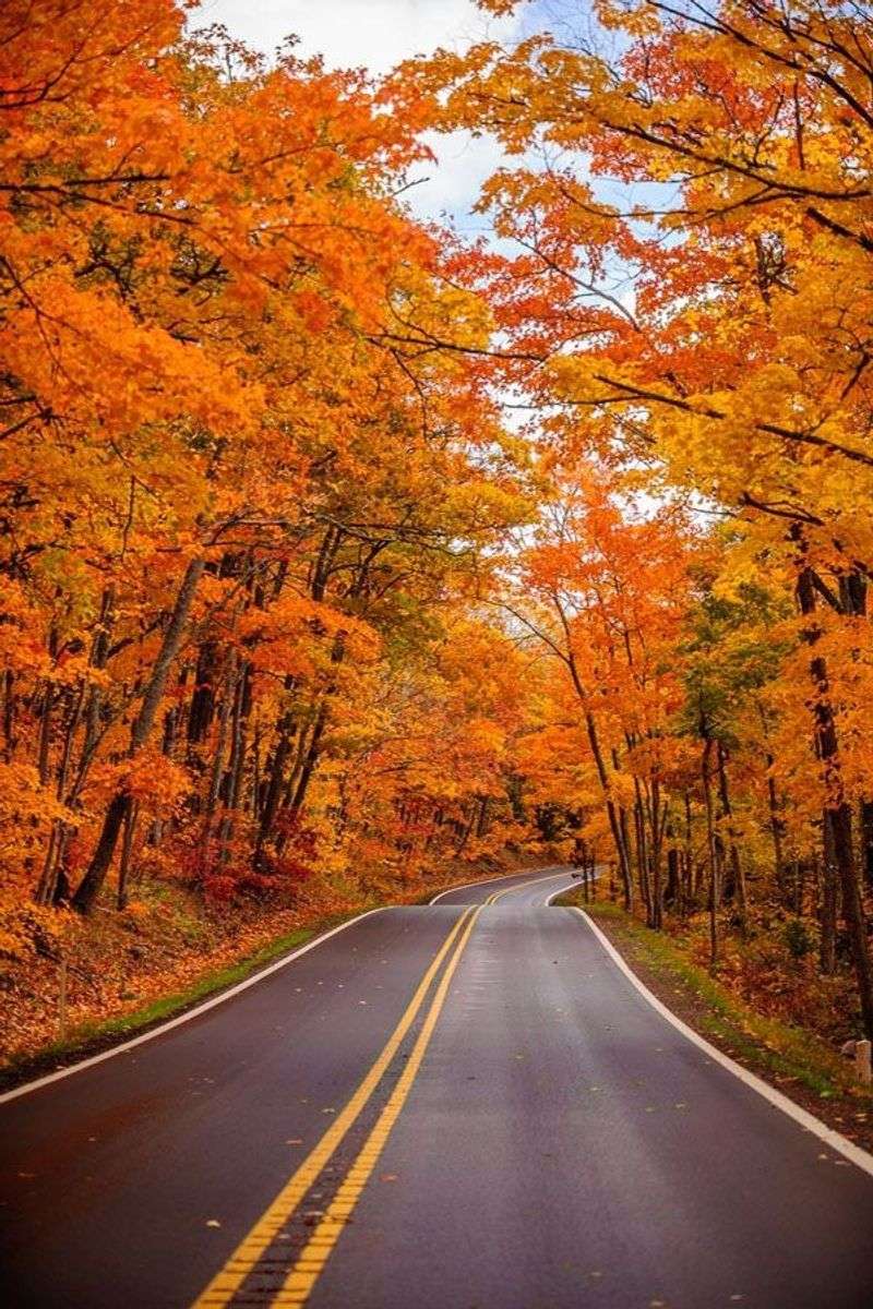 Tips For Making The Most Of Your Visit