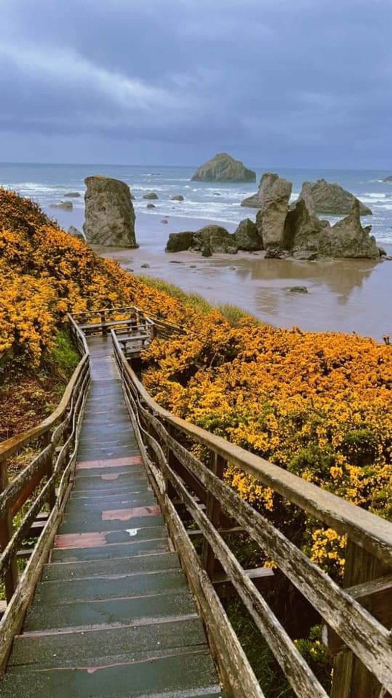 Beach Prices And Housing Numbers That Still Make Sense