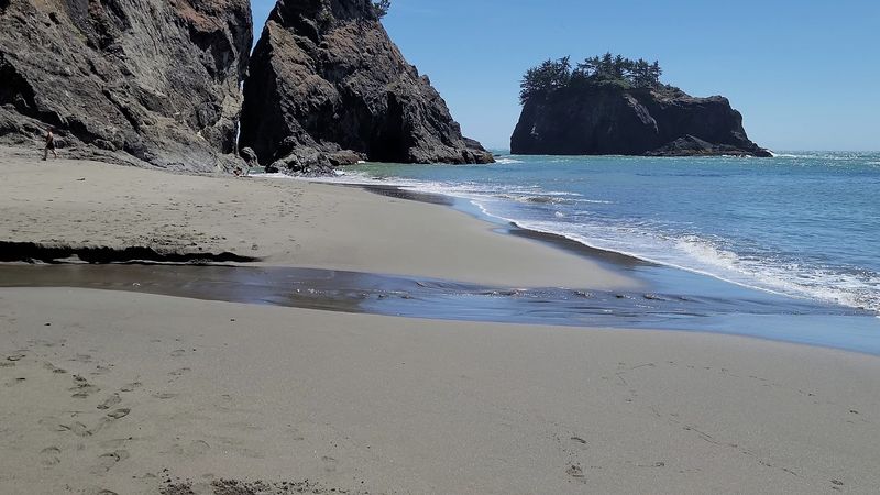 What The Cove Actually Looks Like