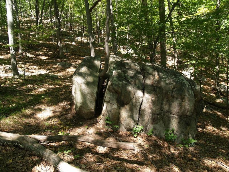 What The Forest Feels Like In Every Season