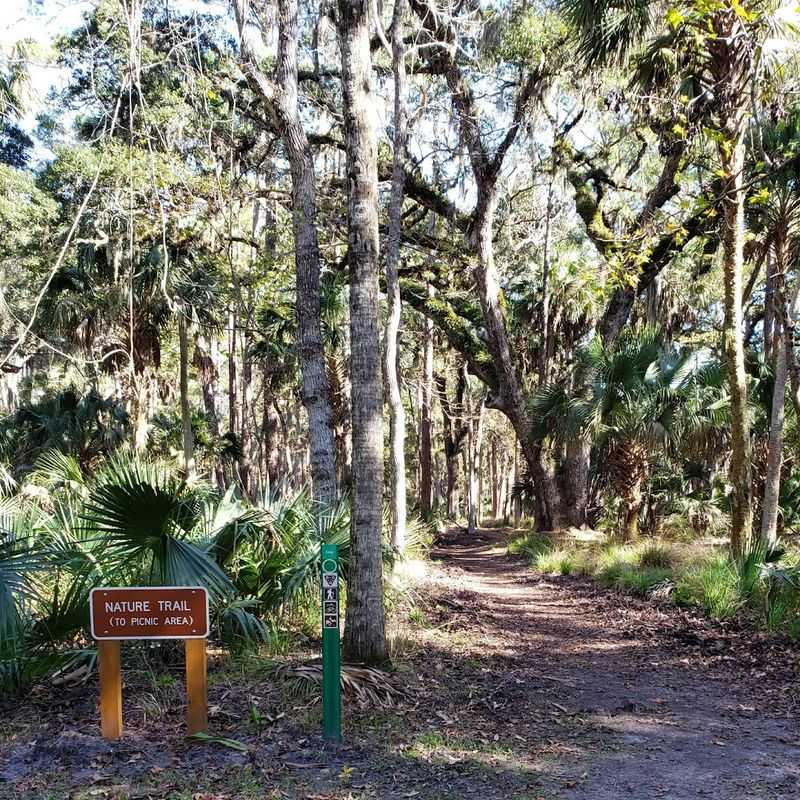 The 6.8-Mile Trail To Bulow Creek State Park