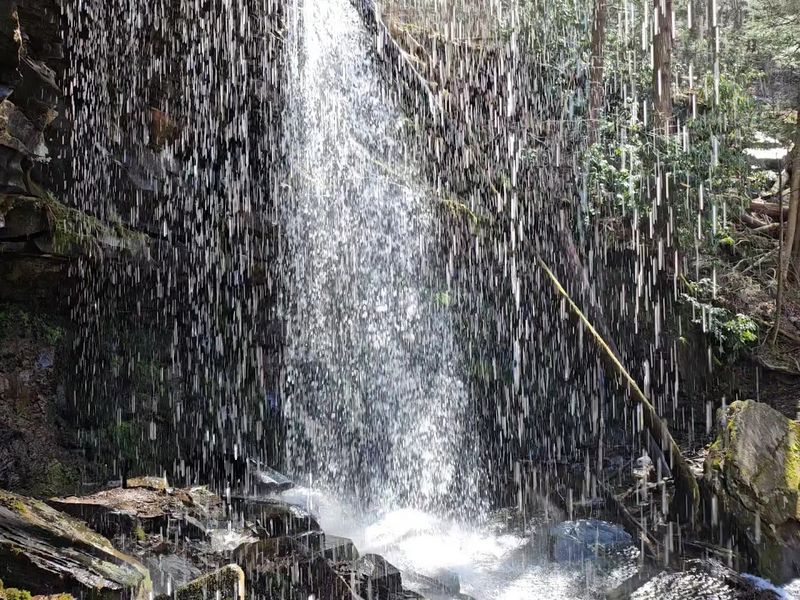 What Jacoby Falls Actually Looks Like Up Close