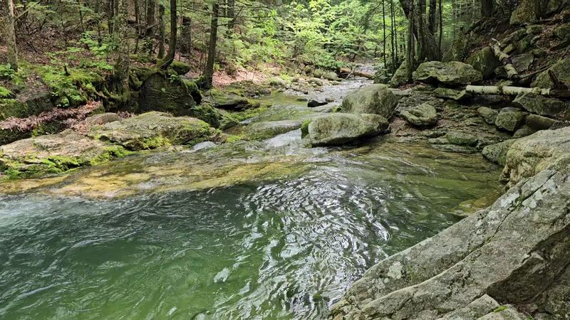 Rattlesnake Pool Up Close