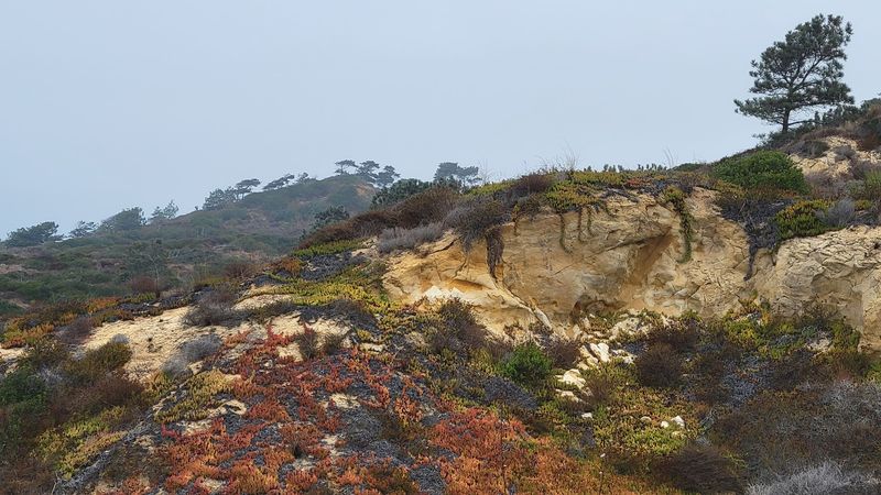 Razor Point And The Red Cliffs