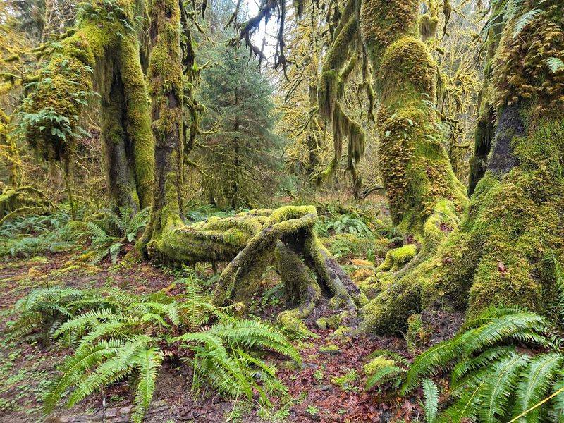 Photography On This Trail Is A Whole Experience