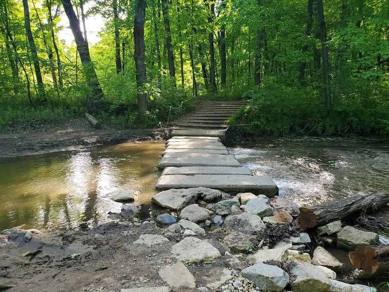 The Trail That Feels Like A Secret Handshake