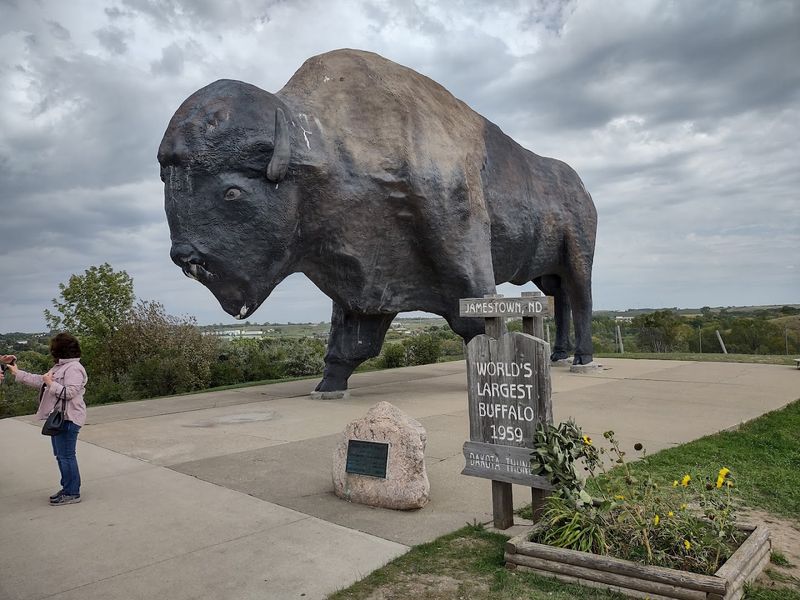 World's Largest Buffalo And Frontier Village