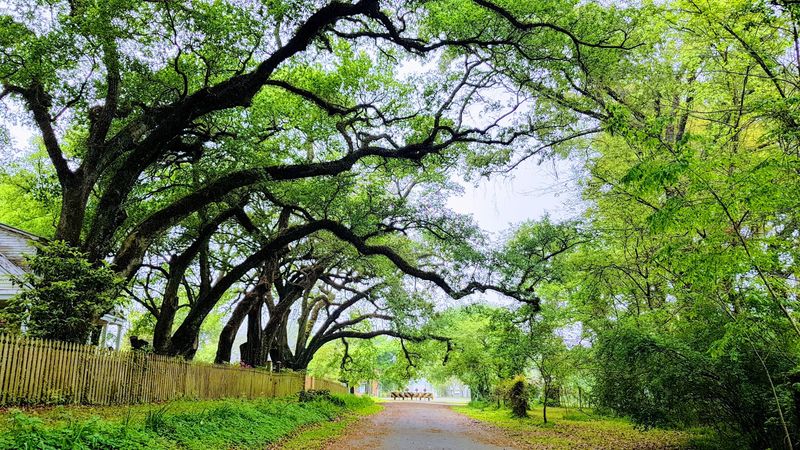 Washington Is Worth The Trip On Its Own