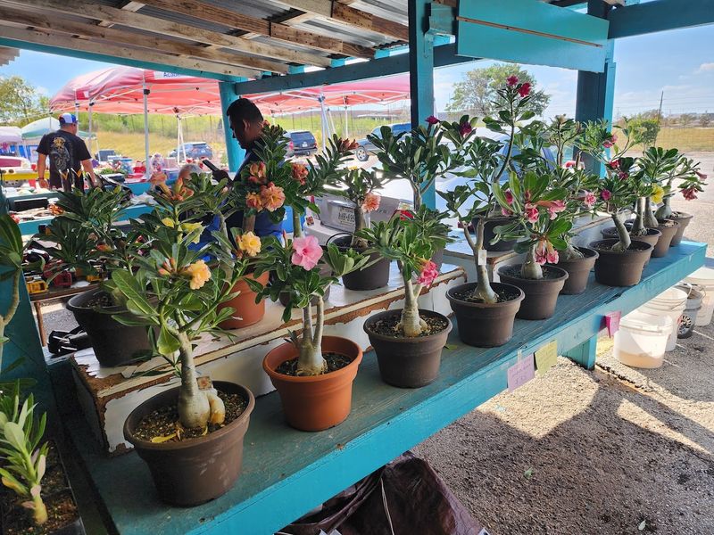 A Perfect Weekend Outing For Families