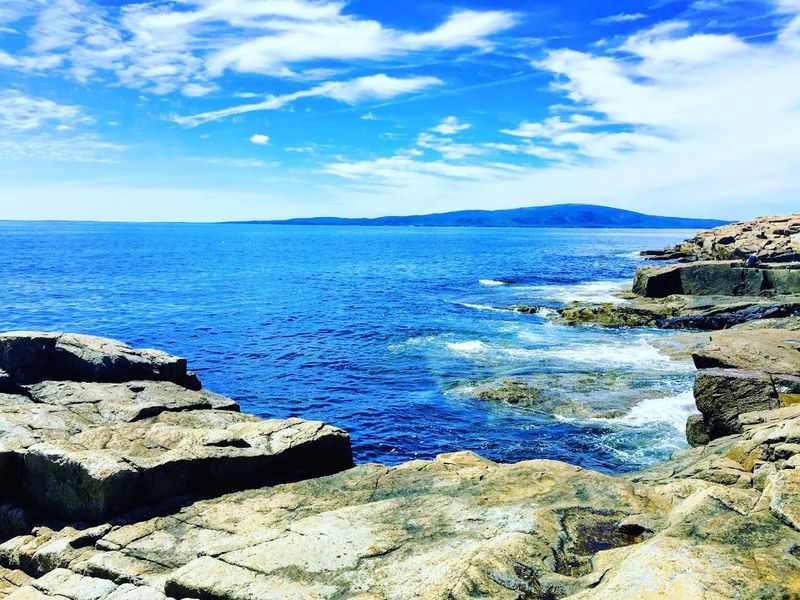 Wildlife Beyond The Tide Pools