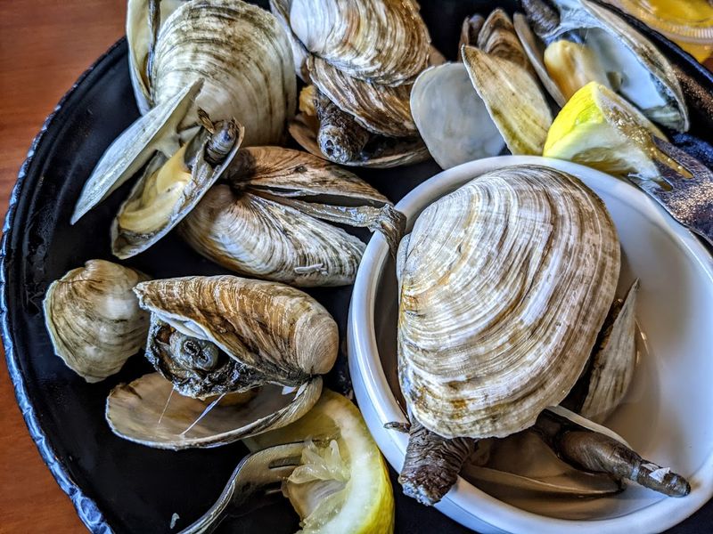 Fresh Clams With Bellies