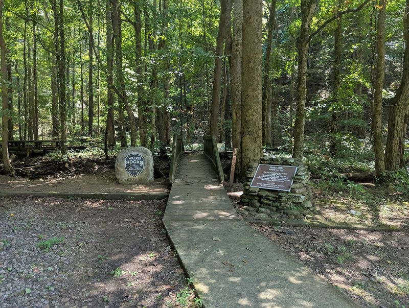 Wildlife That Shares The Trail With You